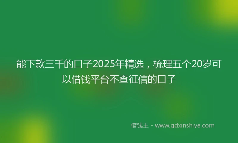 能下款三千的口子2025年精选，梳理五个20岁可以借钱平台不查征信的口子