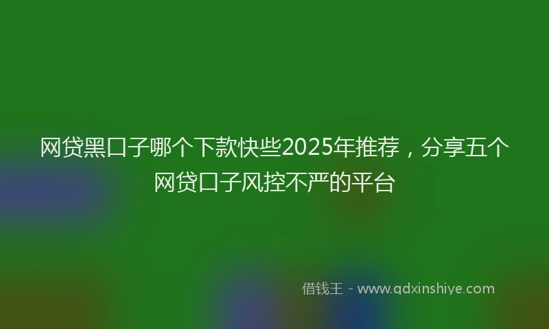网贷黑口子哪个下款快些2025年推荐，分享五个网贷口子风控不严的平台