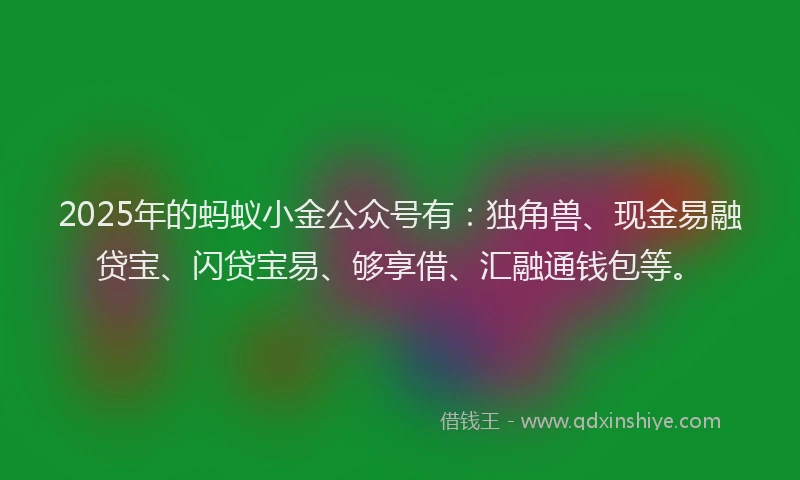 2025年的蚂蚁小金公众号有：独角兽、现金易融贷宝、闪贷宝易、够享借、汇融通钱包等。