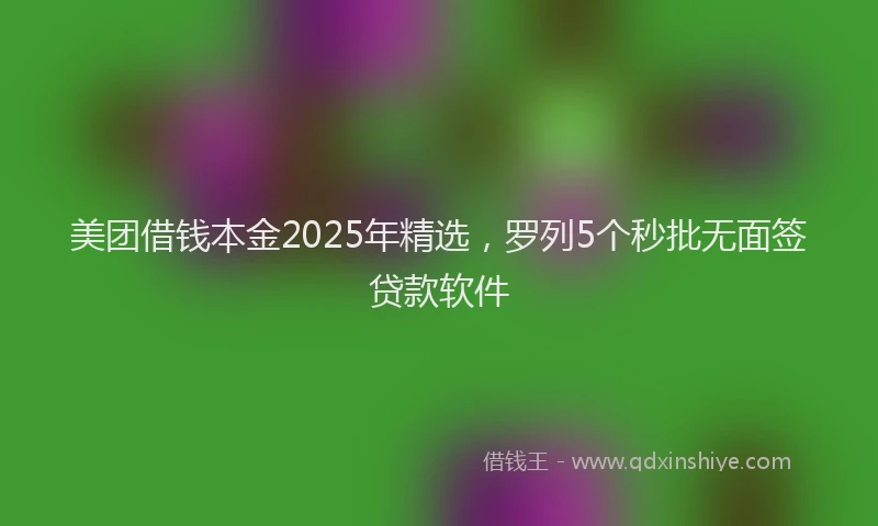 美团借钱本金2025年精选，罗列5个秒批无面签贷款软件