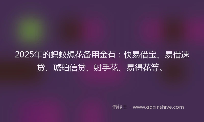 2025年的蚂蚁想花备用金有：快易借宝、易借速贷、琥珀信贷、射手花、易得花等。