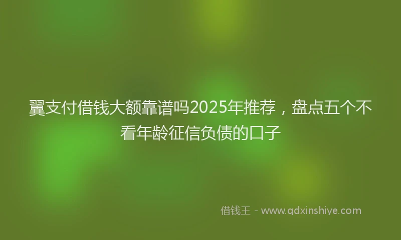 翼支付借钱大额靠谱吗2025年推荐，盘点五个不看年龄征信负债的口子