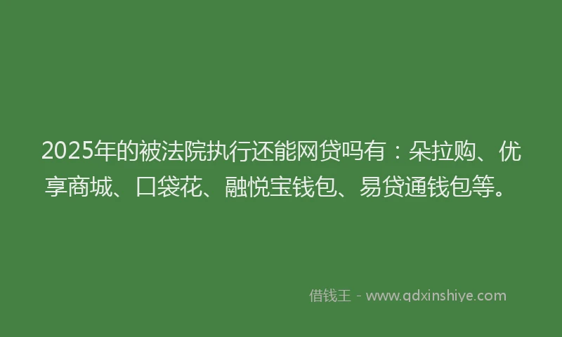 2025年的被法院执行还能网贷吗有：朵拉购、优享商城、口袋花、融悦宝钱包、易贷通钱包等。