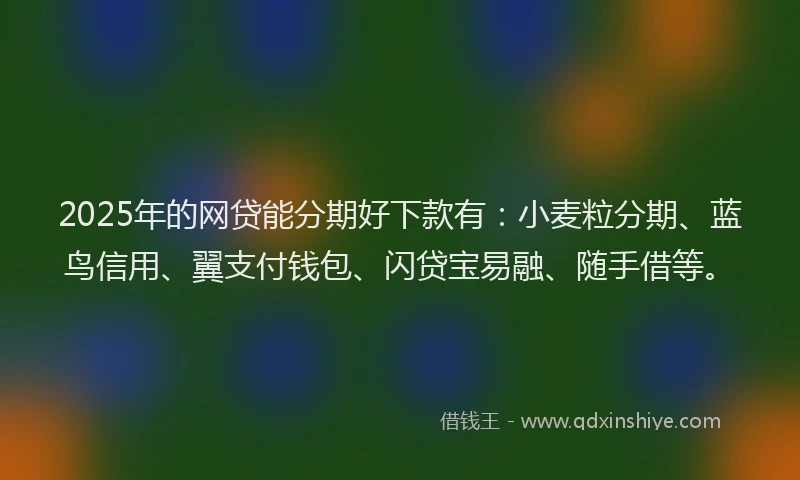 2025年的网贷能分期好下款有：小麦粒分期、蓝鸟信用、翼支付钱包、闪贷宝易融、随手借等。