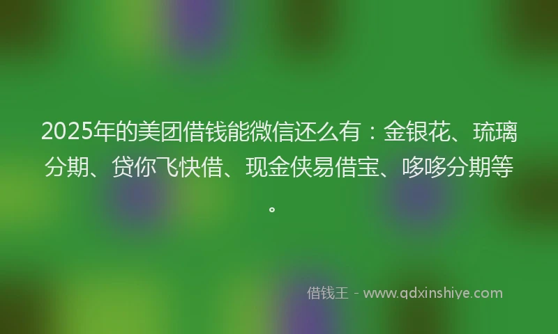 2025年的美团借钱能微信还么有：金银花、琉璃分期、贷你飞快借、现金侠易借宝、哆哆分期等。