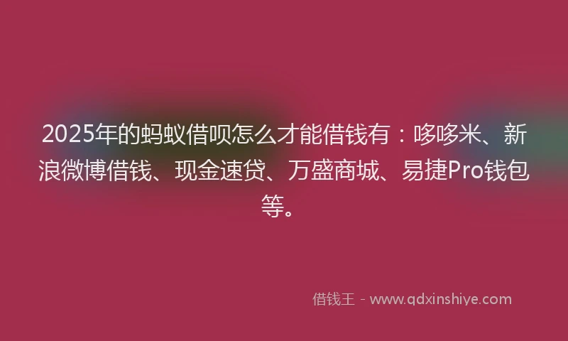2025年的蚂蚁借呗怎么才能借钱有：哆哆米、新浪微博借钱、现金速贷、万盛商城、易捷Pro钱包等。