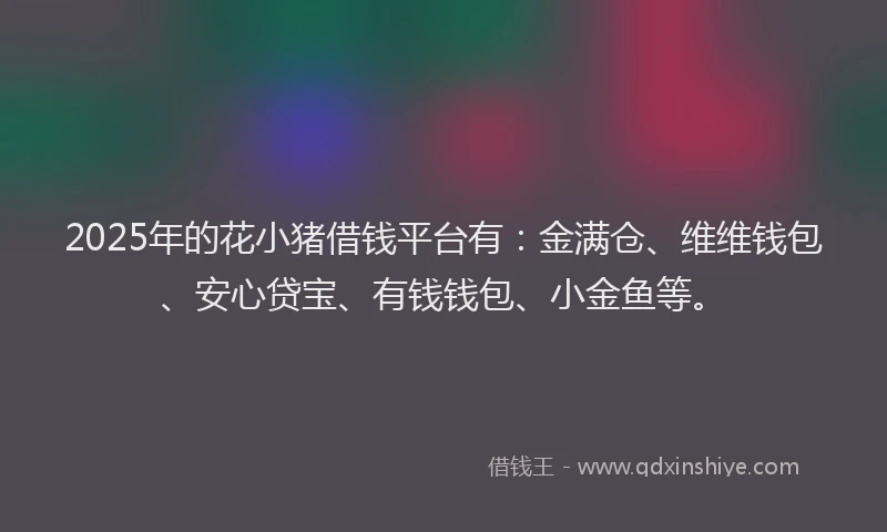 2025年的花小猪借钱平台有：金满仓、维维钱包、安心贷宝、有钱钱包、小金鱼等。