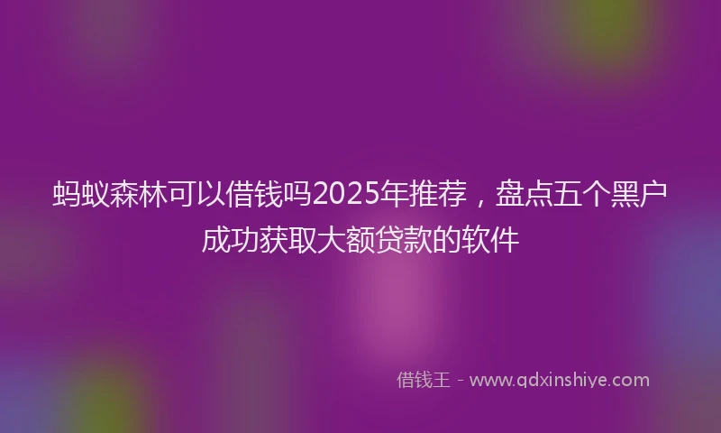 蚂蚁森林可以借钱吗2025年推荐，盘点五个黑户成功获取大额贷款的软件