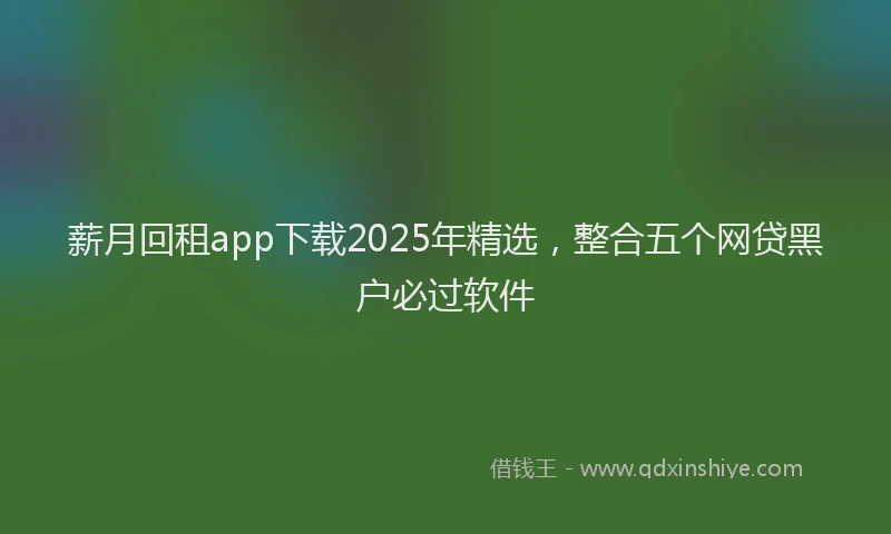 薪月回租app下载2025年精选，整合五个网贷黑户必过软件