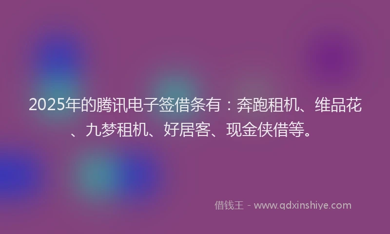 2025年的腾讯电子签借条有：奔跑租机、维品花、九梦租机、好居客、现金侠借等。
