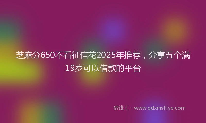 芝麻分650不看征信花2025年推荐，分享五个满19岁可以借款的平台