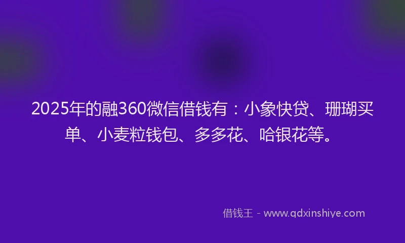 2025年的融360微信借钱有：小象快贷、珊瑚买单、小麦粒钱包、多多花、哈银花等。