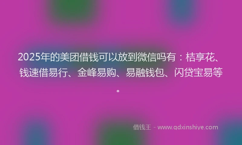 2025年的美团借钱可以放到微信吗有：桔享花、钱速借易行、金峰易购、易融钱包、闪贷宝易等。