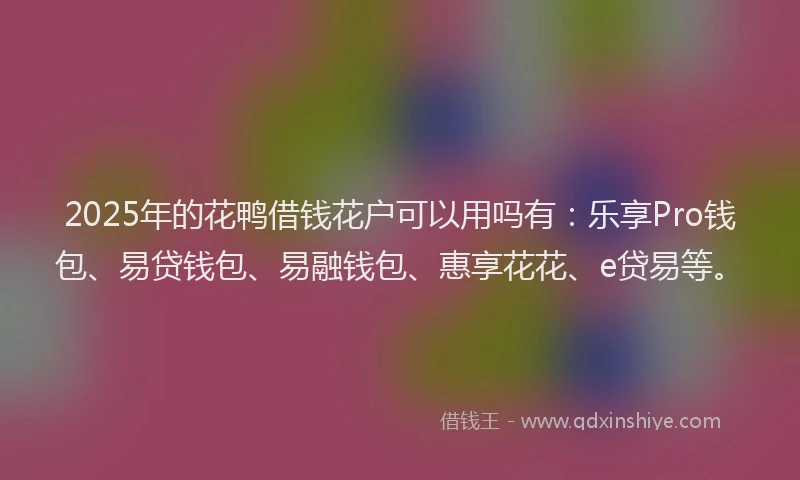 2025年的花鸭借钱花户可以用吗有：乐享Pro钱包、易贷钱包、易融钱包、惠享花花、e贷易等。