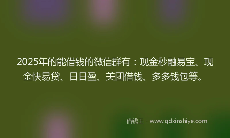 2025年的能借钱的微信群有：现金秒融易宝、现金快易贷、日日盈、美团借钱、多多钱包等。