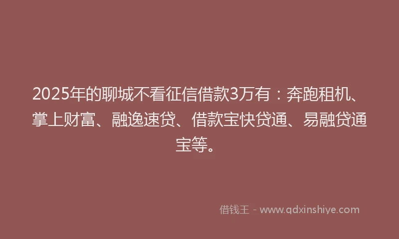 2025年的聊城不看征信借款3万有：奔跑租机、掌上财富、融逸速贷、借款宝快贷通、易融贷通宝等。