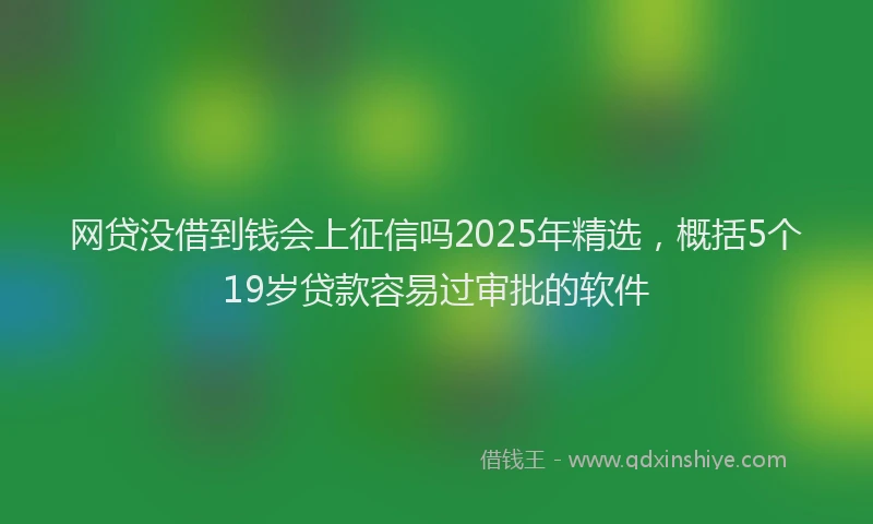 网贷没借到钱会上征信吗2025年精选，概括5个19岁贷款容易过审批的软件