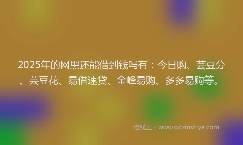 2025年的网黑还能借到钱吗有：今日购、芸豆分、芸豆花、易借速贷、金峰易购、多多易购等。
