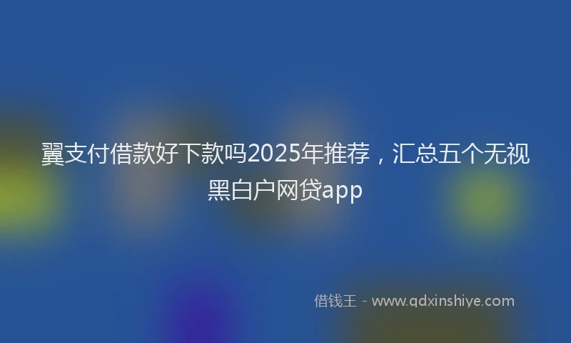翼支付借款好下款吗2025年推荐，汇总五个无视黑白户网贷app