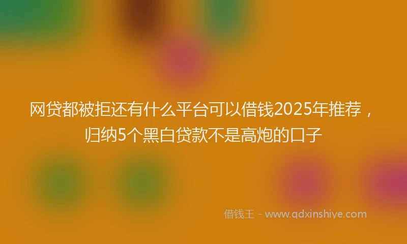 网贷都被拒还有什么平台可以借钱2025年推荐，归纳5个黑白贷款不是高炮的口子