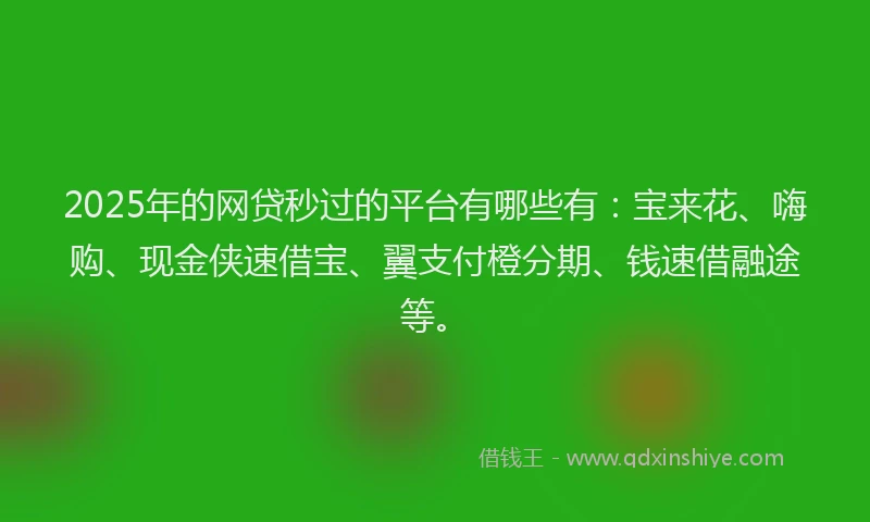 2025年的网贷秒过的平台有哪些有：宝来花、嗨购、现金侠速借宝、翼支付橙分期、钱速借融途等。