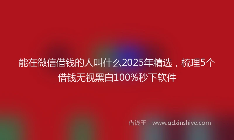 能在微信借钱的人叫什么2025年精选，梳理5个借钱无视黑白100%秒下软件