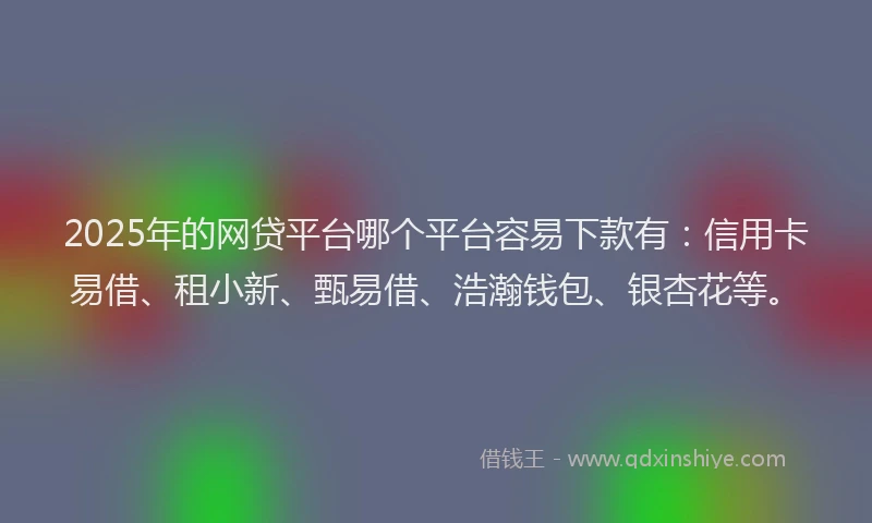 2025年的网贷平台哪个平台容易下款有：信用卡易借、租小新、甄易借、浩瀚钱包、银杏花等。