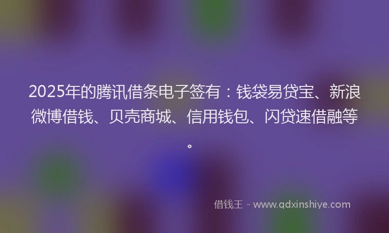 2025年的腾讯借条电子签有：钱袋易贷宝、新浪微博借钱、贝壳商城、信用钱包、闪贷速借融等。