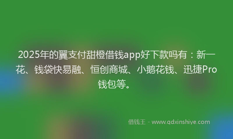2025年的翼支付甜橙借钱app好下款吗有：新一花、钱袋快易融、恒创商城、小鹅花钱、迅捷Pro钱包等。