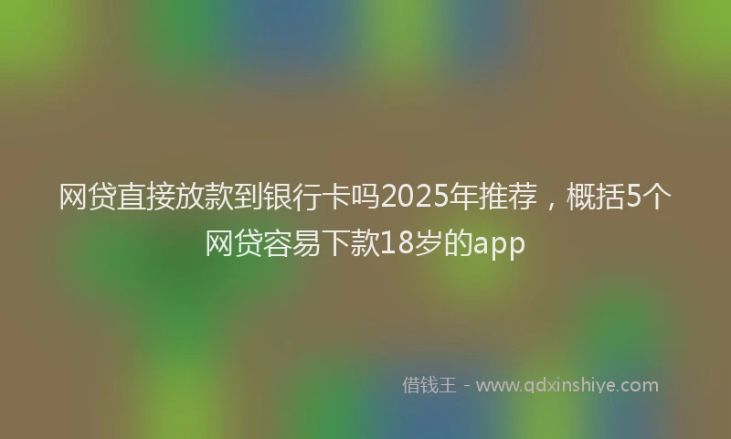 网贷直接放款到银行卡吗2025年推荐，概括5个网贷容易下款18岁的app