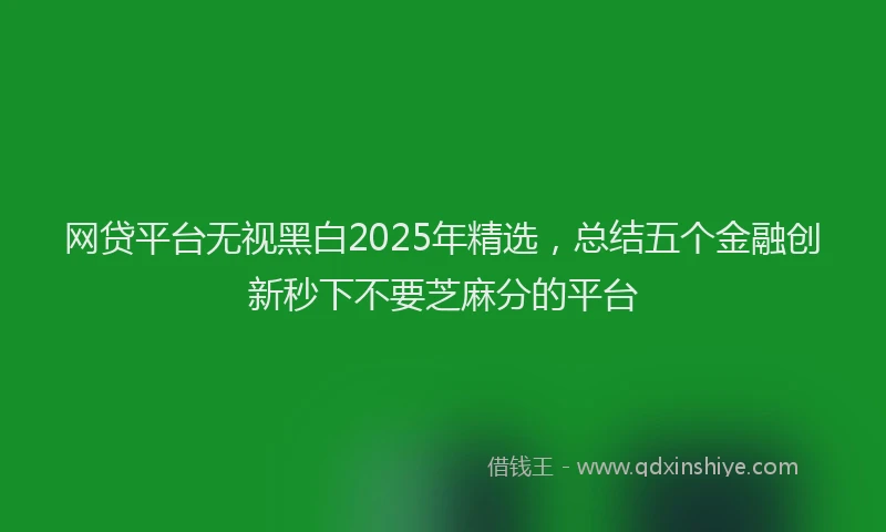 网贷平台无视黑白2025年精选，总结五个金融创新秒下不要芝麻分的平台