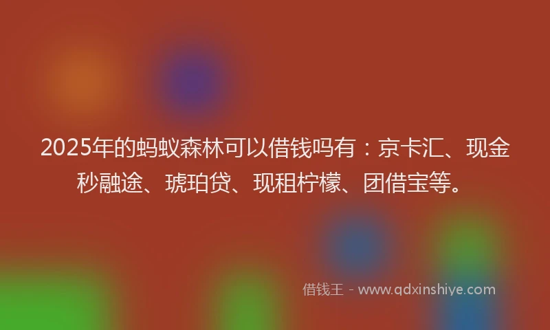 2025年的蚂蚁森林可以借钱吗有：京卡汇、现金秒融途、琥珀贷、现租柠檬、团借宝等。
