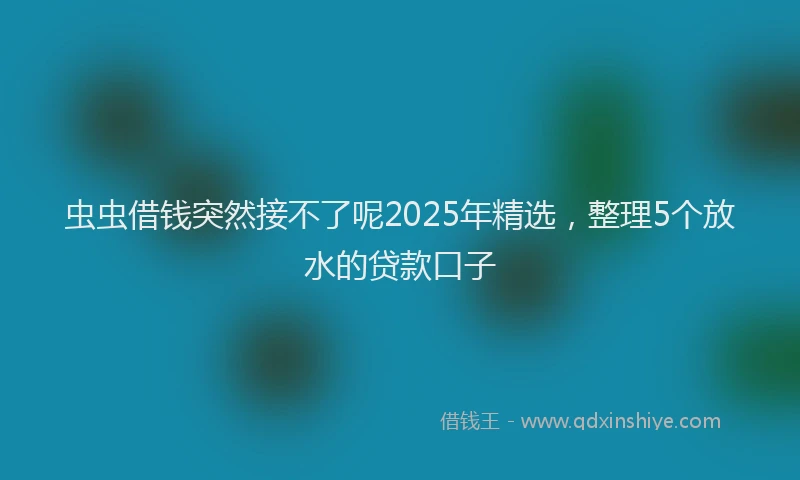 虫虫借钱突然接不了呢2025年精选，整理5个放水的贷款口子