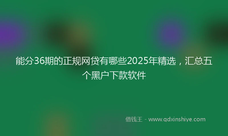 能分36期的正规网贷有哪些2025年精选，汇总五个黑户下款软件