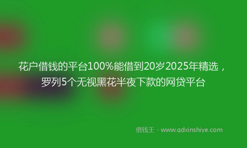 花户借钱的平台100%能借到20岁2025年精选，罗列5个无视黑花半夜下款的网贷平台