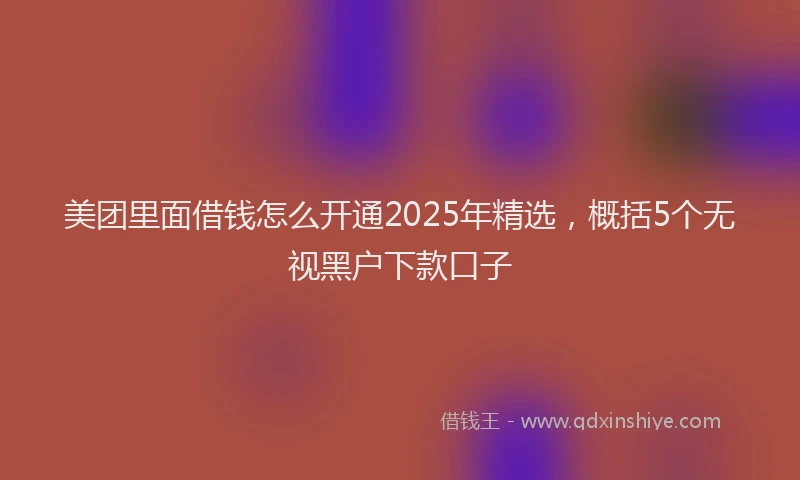 美团里面借钱怎么开通2025年精选，概括5个无视黑户下款口子
