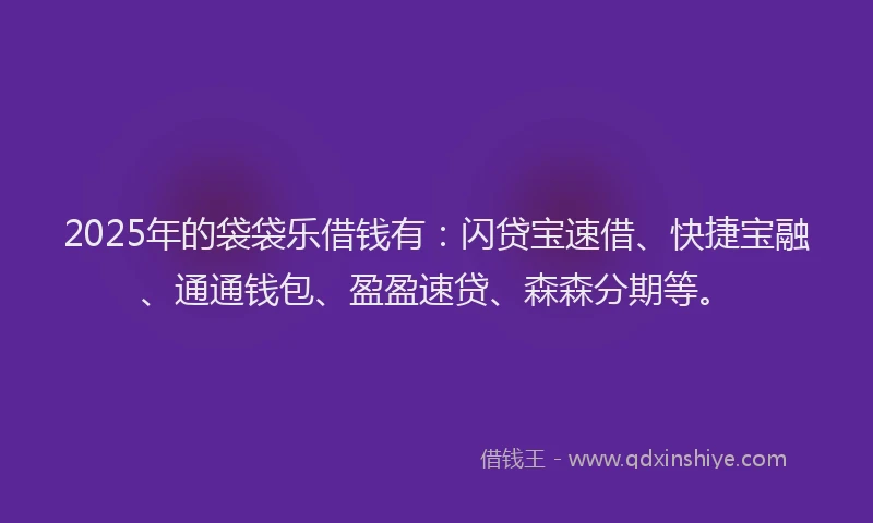 2025年的袋袋乐借钱有：闪贷宝速借、快捷宝融、通通钱包、盈盈速贷、森森分期等。