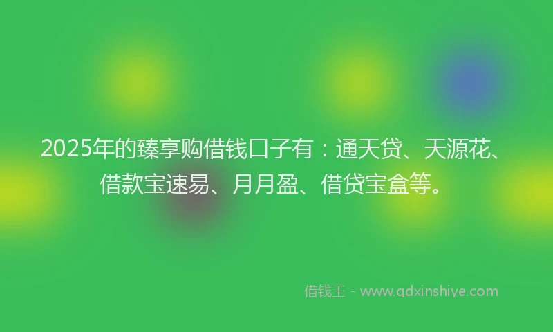 2025年的臻享购借钱口子有：通天贷、天源花、借款宝速易、月月盈、借贷宝盒等。