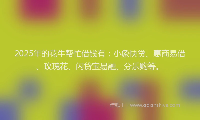2025年的花牛帮忙借钱有：小象快贷、惠商易借、玫瑰花、闪贷宝易融、分乐购等。