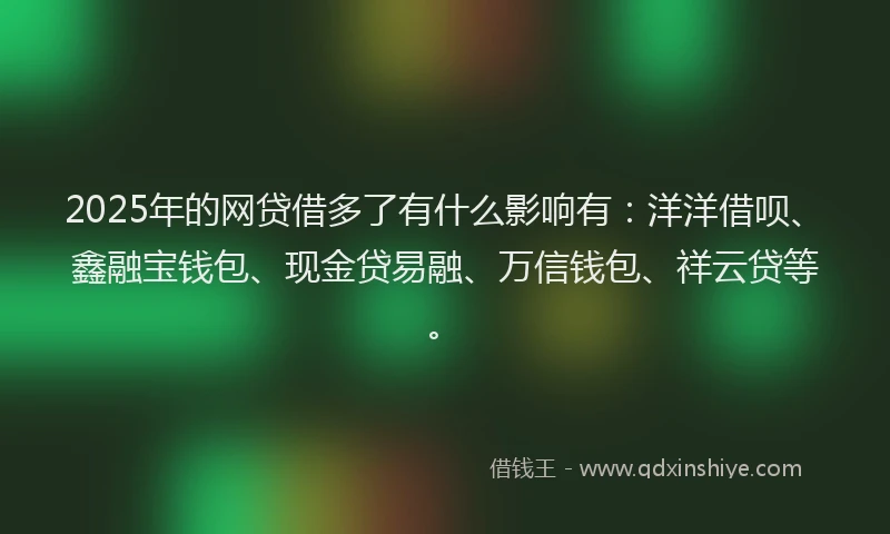 2025年的网贷借多了有什么影响有：洋洋借呗、鑫融宝钱包、现金贷易融、万信钱包、祥云贷等。