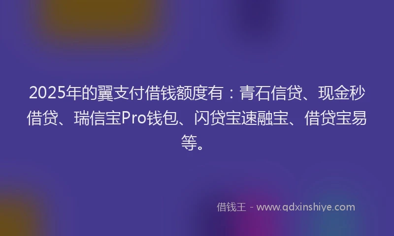 2025年的翼支付借钱额度有：青石信贷、现金秒借贷、瑞信宝Pro钱包、闪贷宝速融宝、借贷宝易等。
