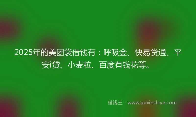 2025年的美团袋借钱有：呼吸金、快易贷通、平安i贷、小麦粒、百度有钱花等。