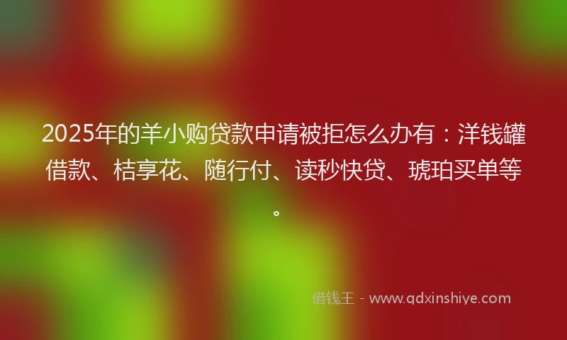 2025年的羊小购贷款申请被拒怎么办有：洋钱罐借款、桔享花、随行付、读秒快贷、琥珀买单等。