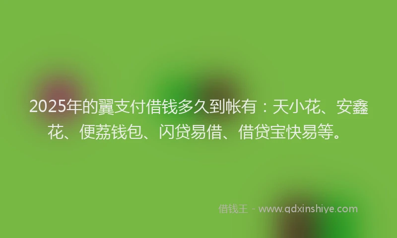 2025年的翼支付借钱多久到帐有：天小花、安鑫花、便荔钱包、闪贷易借、借贷宝快易等。