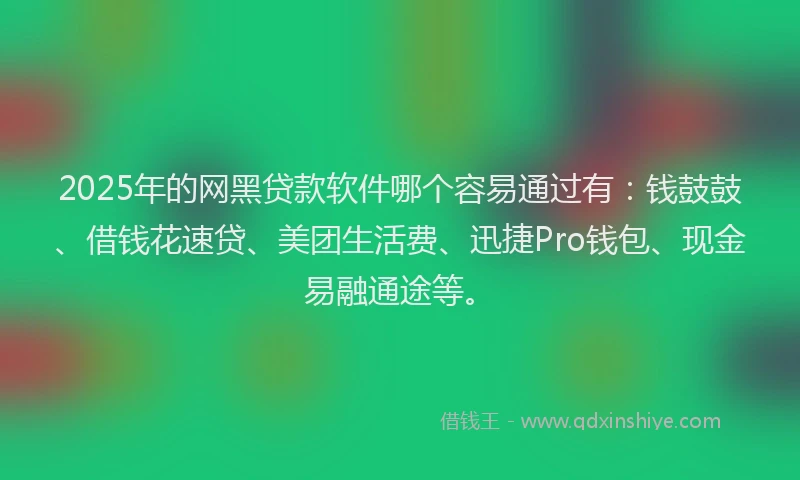 2025年的网黑贷款软件哪个容易通过有：钱鼓鼓、借钱花速贷、美团生活费、迅捷Pro钱包、现金易融通途等。