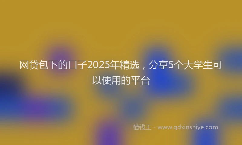 网贷包下的口子2025年精选，分享5个大学生可以使用的平台
