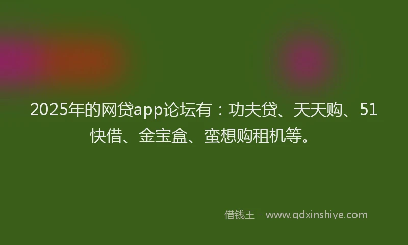 2025年的网贷app论坛有：功夫贷、天天购、51快借、金宝盒、蛮想购租机等。