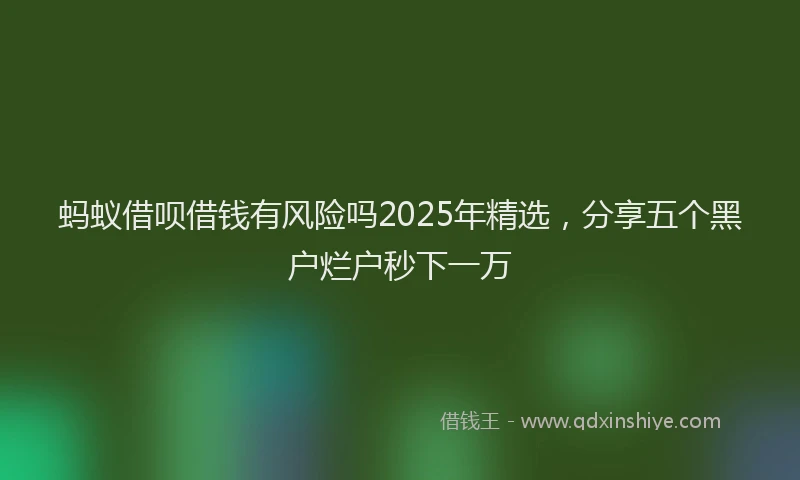 蚂蚁借呗借钱有风险吗2025年精选，分享五个黑户烂户秒下一万