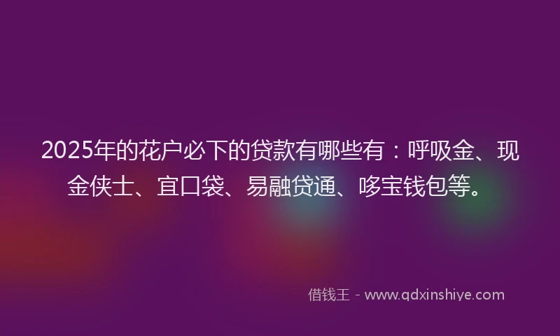 2025年的花户必下的贷款有哪些有：呼吸金、现金侠士、宜口袋、易融贷通、哆宝钱包等。