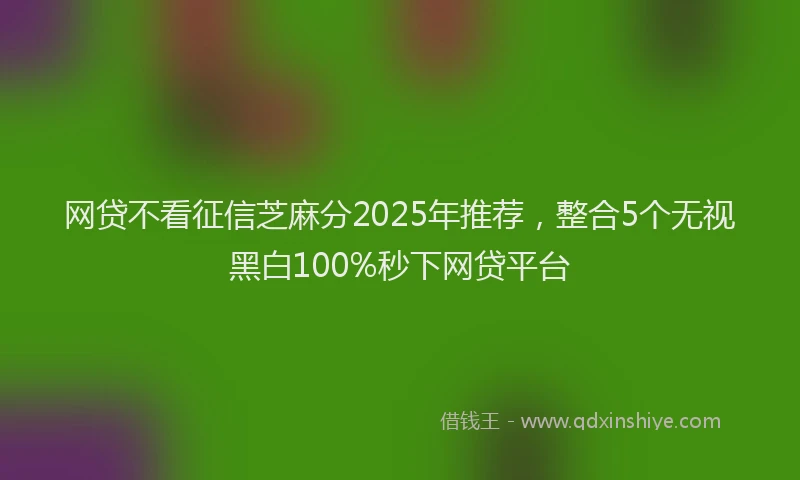 网贷不看征信芝麻分2025年推荐，整合5个无视黑白100%秒下网贷平台
